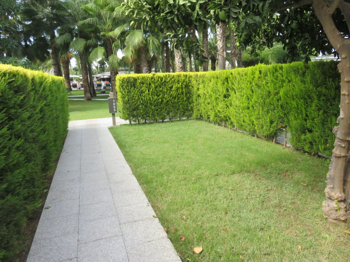 imagini hotel Miramare Beach Side